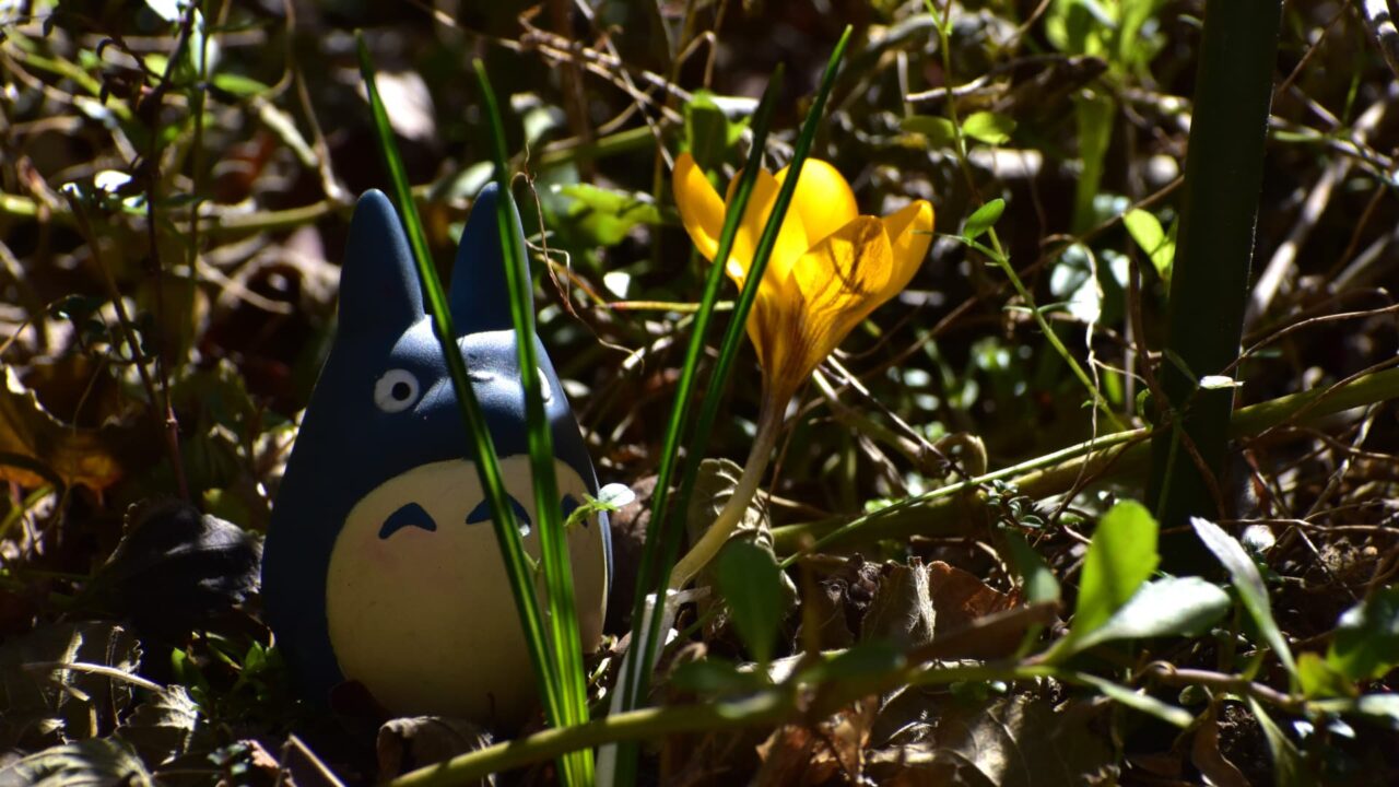 光るクロッカスと中トトロ202302