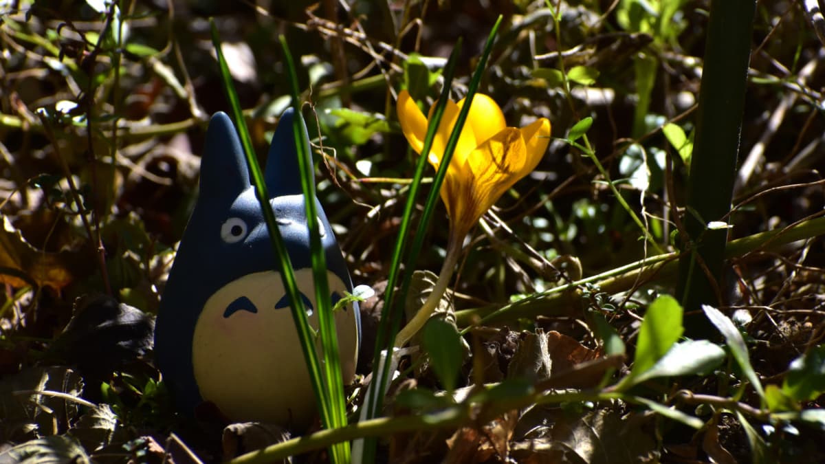 光るクロッカスと中トトロ202302（キャッチ画像）