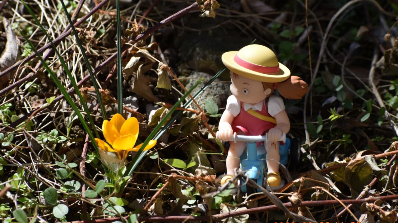 クロッカスとメイ202302