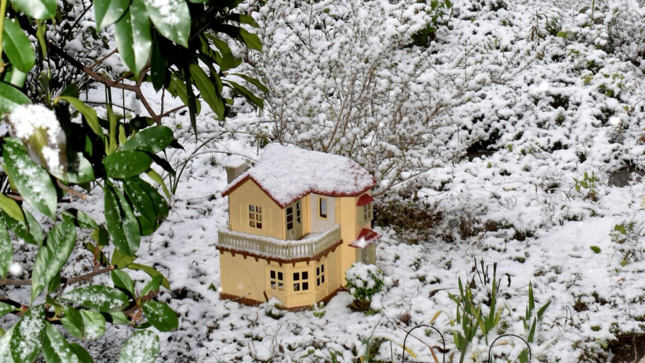 雪の中の人形の家を垣間見る20220106
