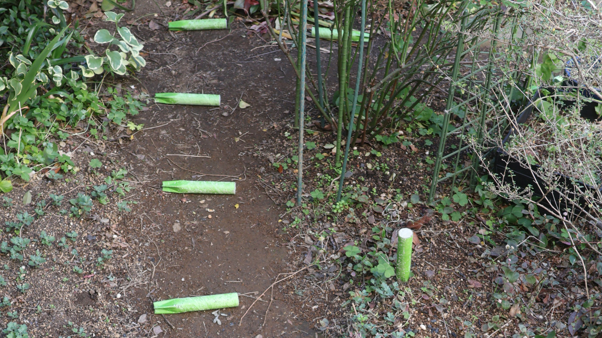 寒肥グリーンパイル