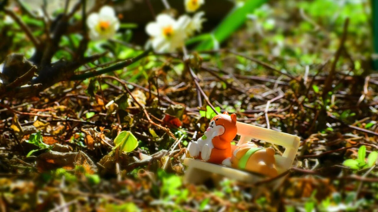 ゴン太の梅見酒202302-1