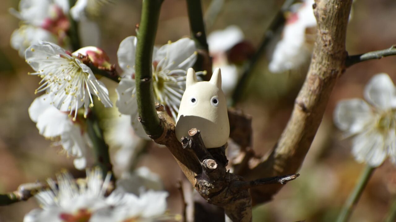 白梅と小トトロ202302-5