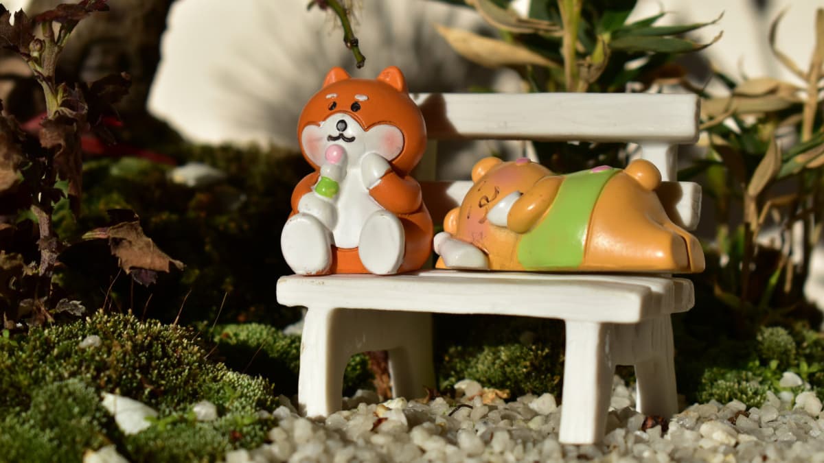 白梅盆栽とゴン太