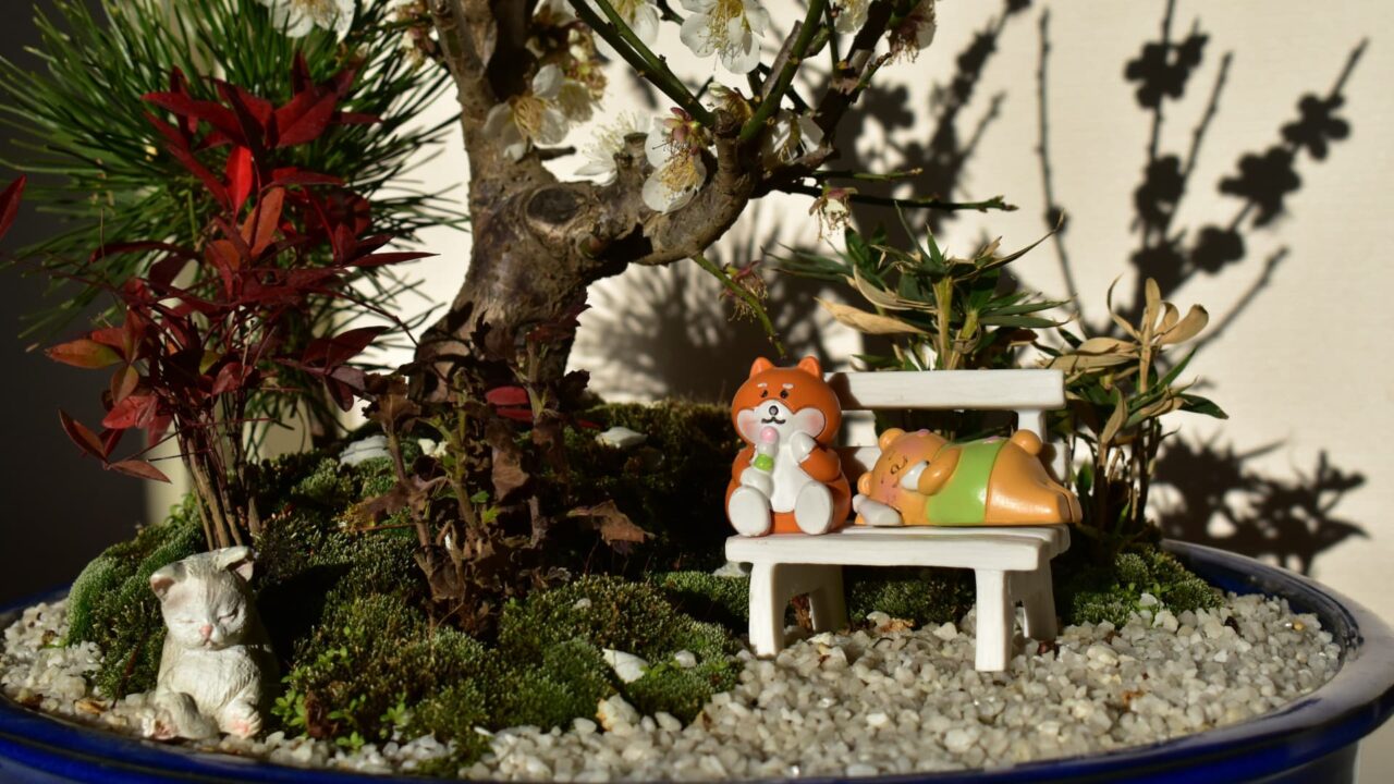 盆栽梅見酒をする犬猫2