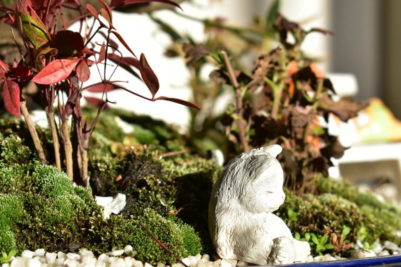 盆栽梅見酒をする犬猫3