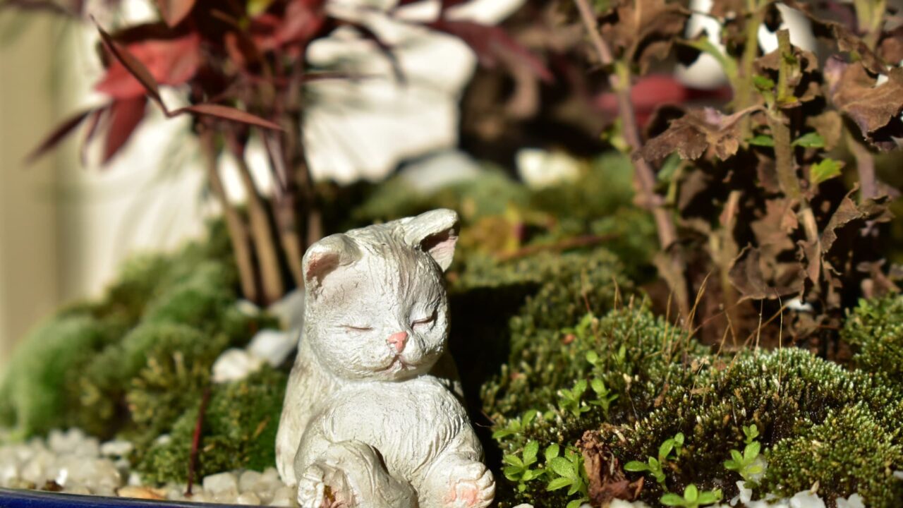 盆栽梅見酒をする犬猫4