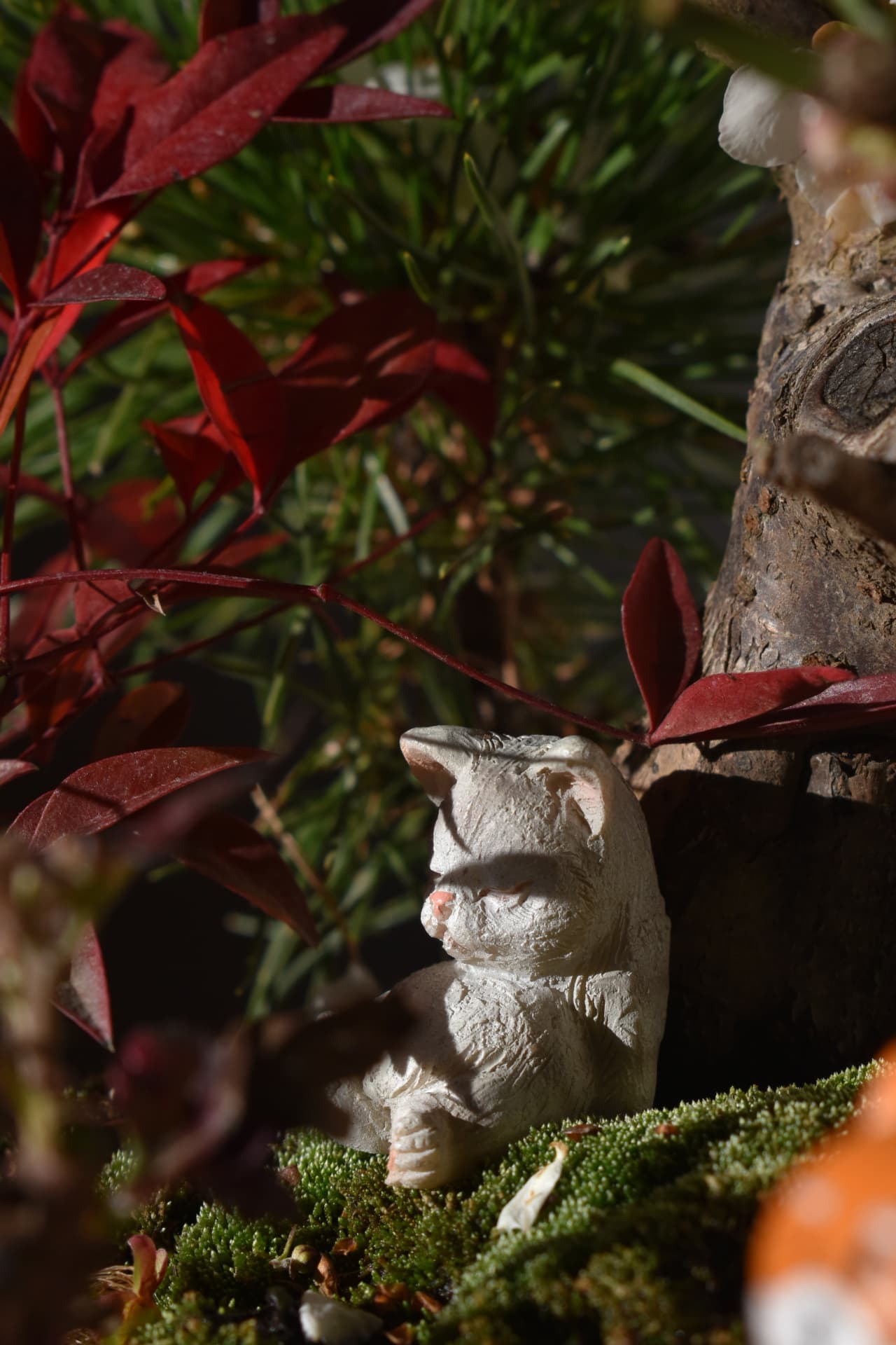 盆栽梅見酒をする犬猫5