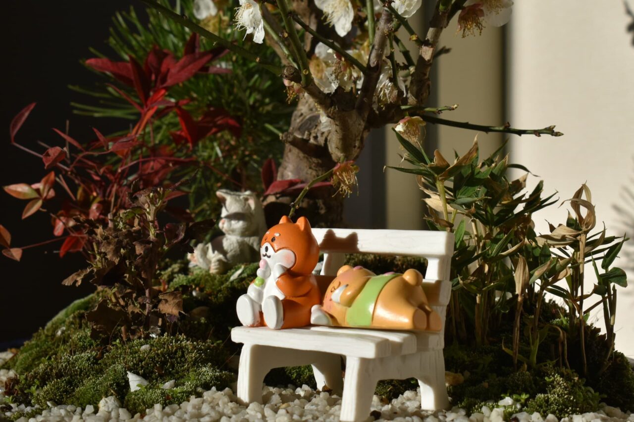 盆栽梅見酒をする犬猫7