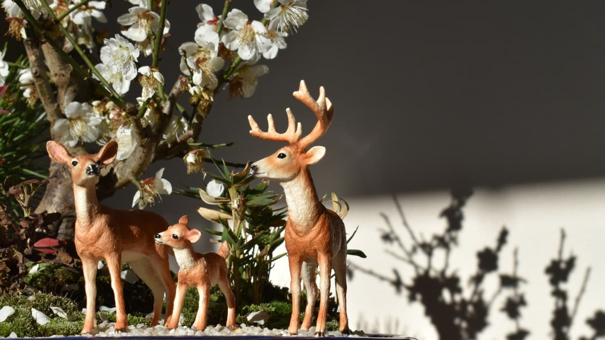 白梅盆栽上の鹿　孫目線1