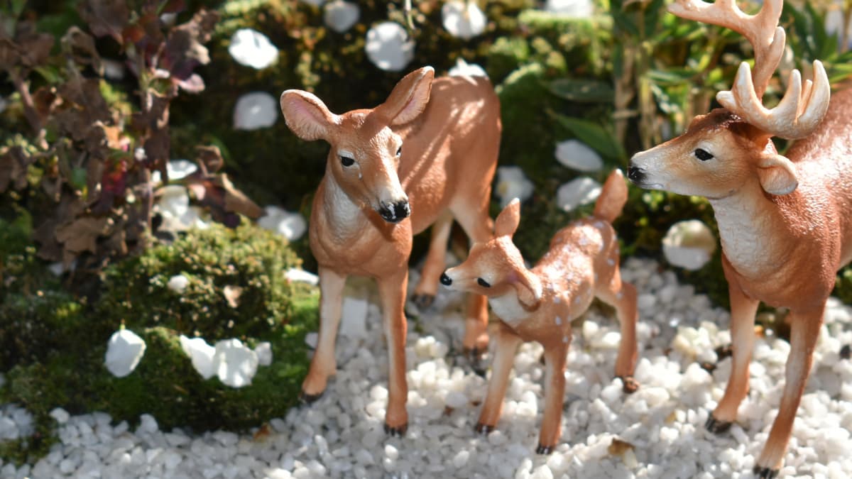 白梅盆栽上の鹿　孫目線2