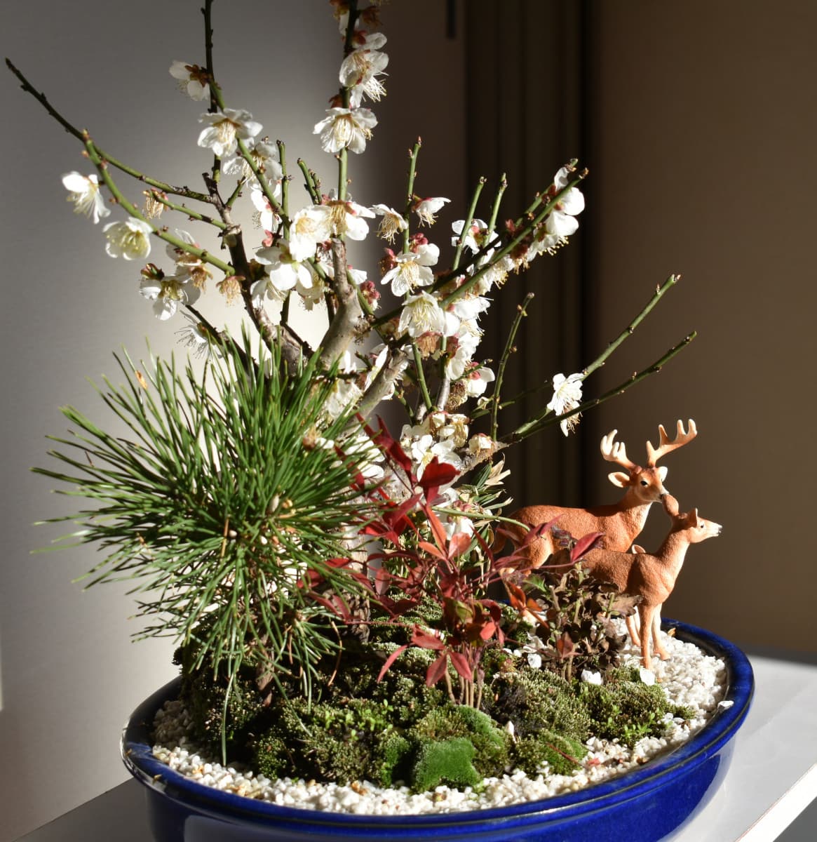 白梅盆栽と鹿　全体像1