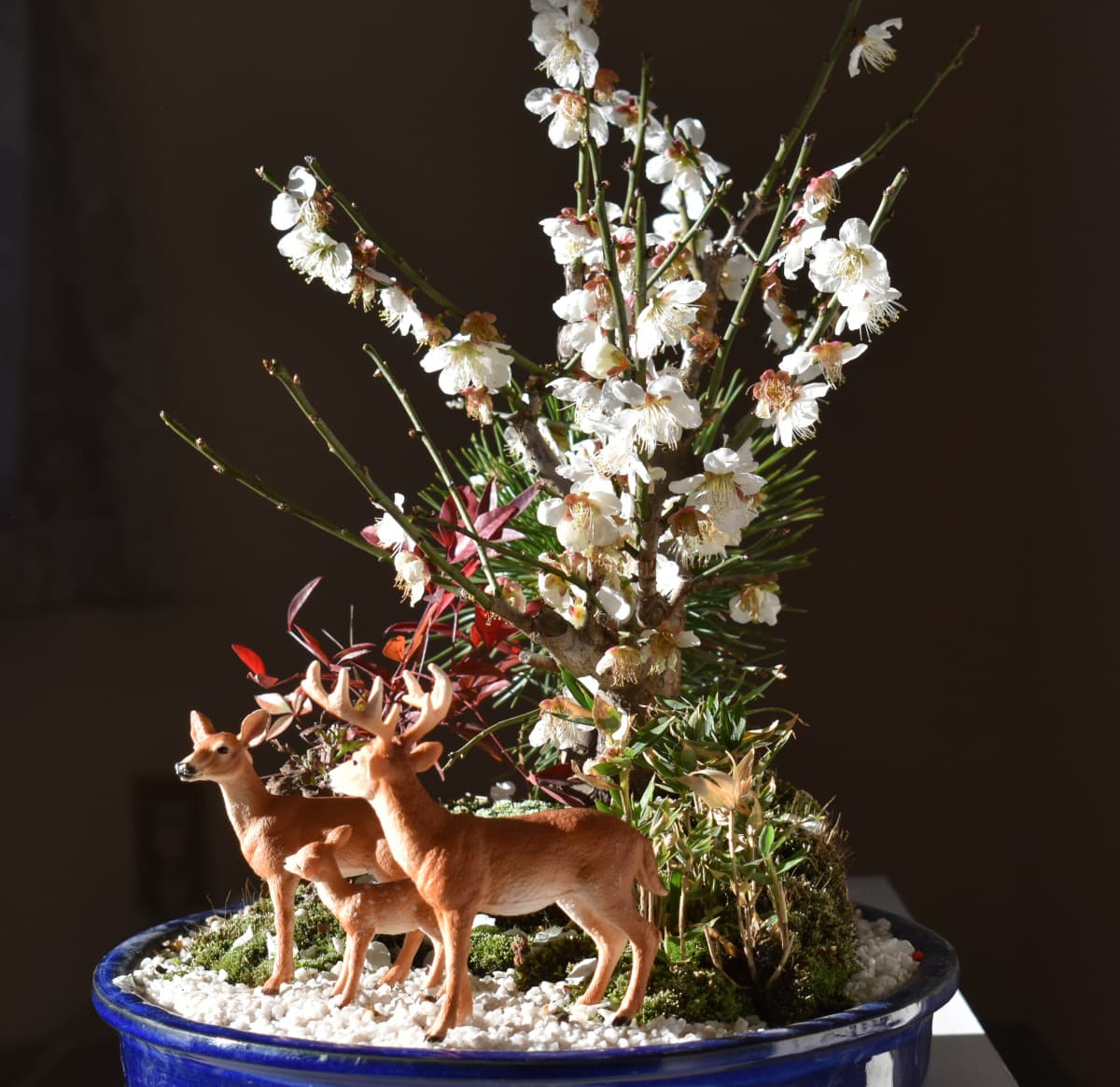 白梅盆栽と鹿　全体像2