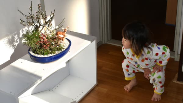 白梅盆栽―鹿フィギュアに見入る孫1