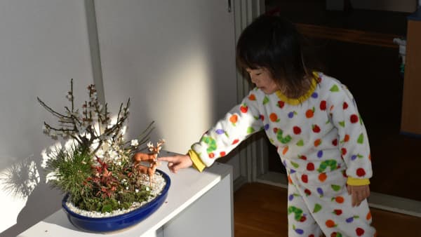白梅盆栽―鹿フィギュアに見入る孫2