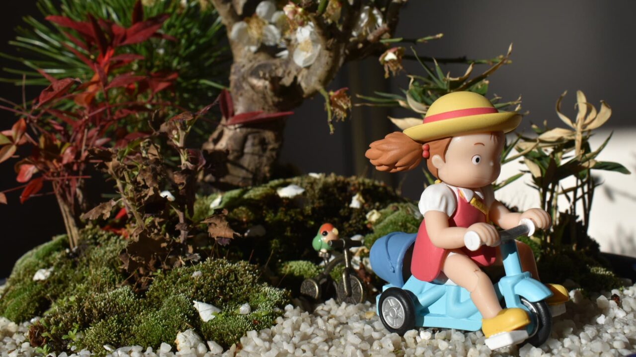 白梅盆栽と３輪車のメイ1