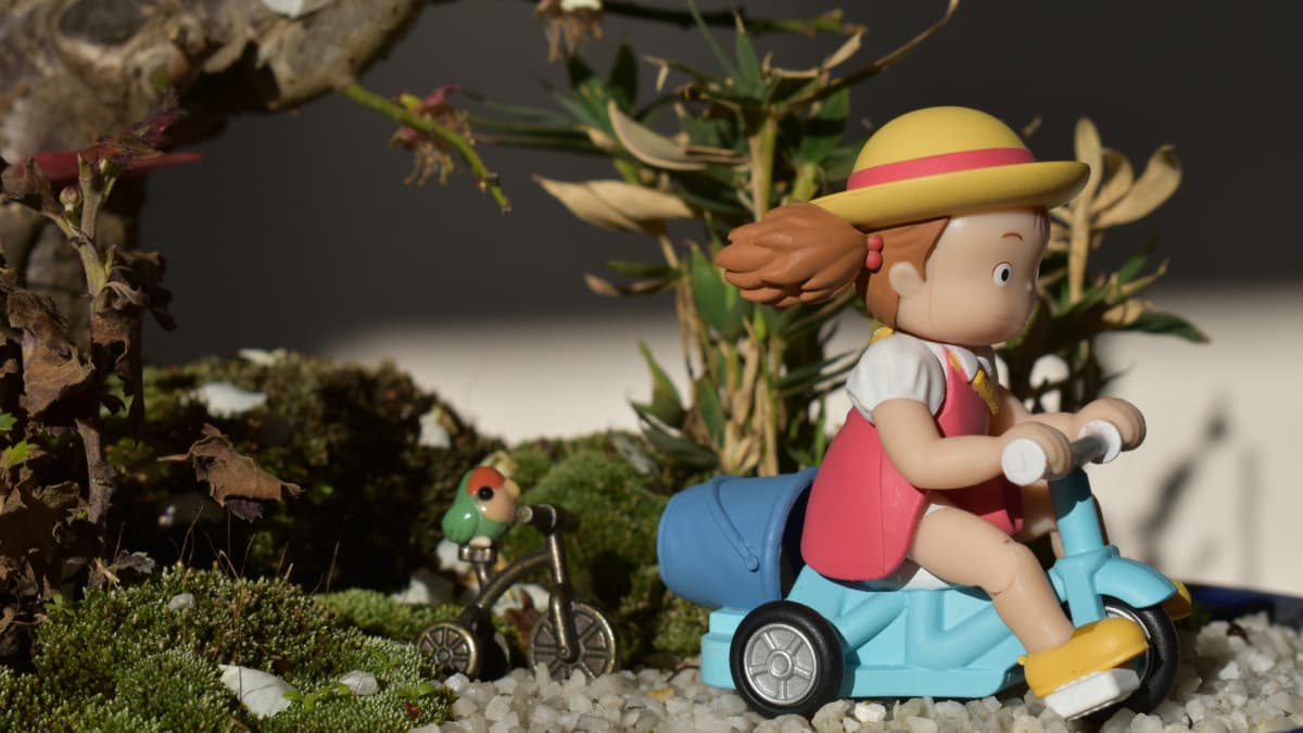 白梅盆栽と３輪車のメイ