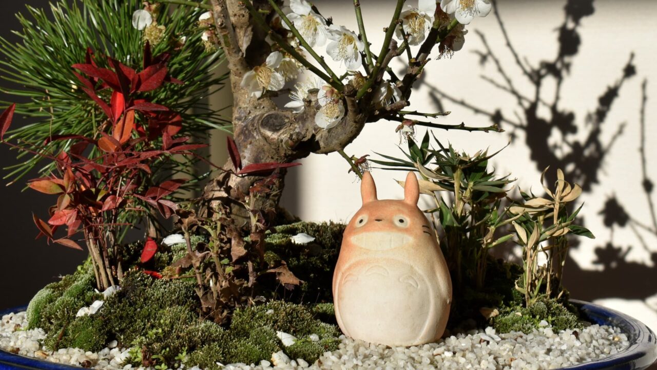 白梅盆栽とトトロ2