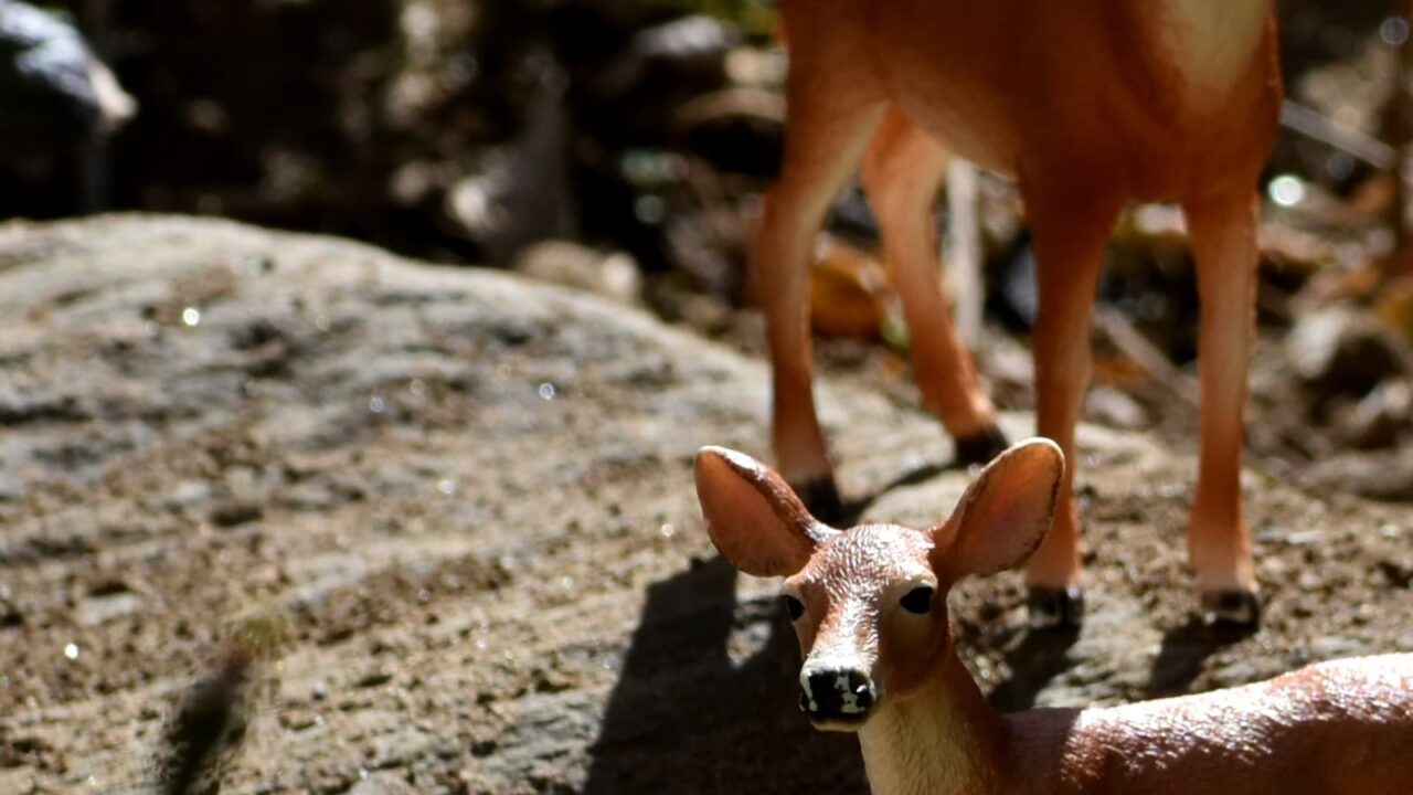 送梅鹿とオーブ202303-1
