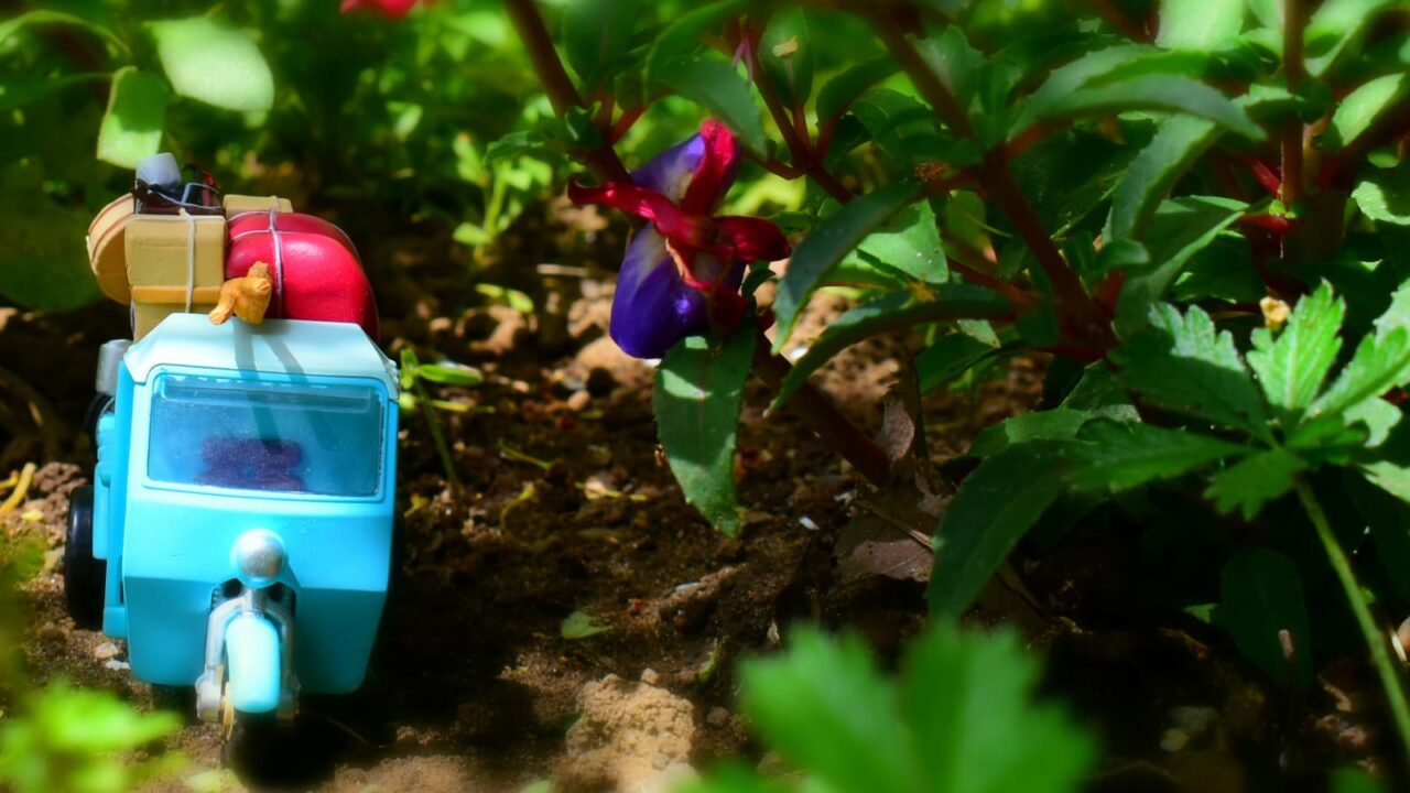 引越道中写真ピックアップ202005-10