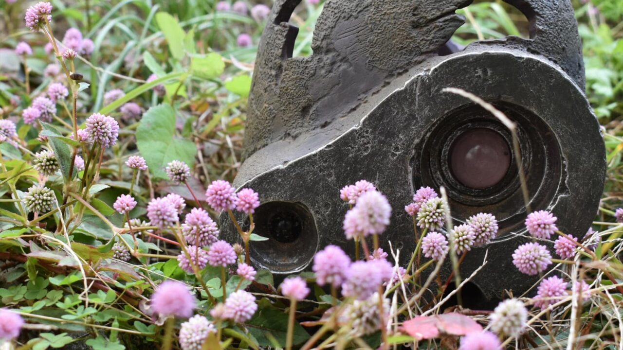 ヒメツルソバとロボ兵20201122