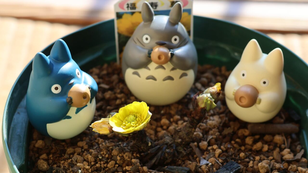 福寿草に乾杯トトロ20240131-1