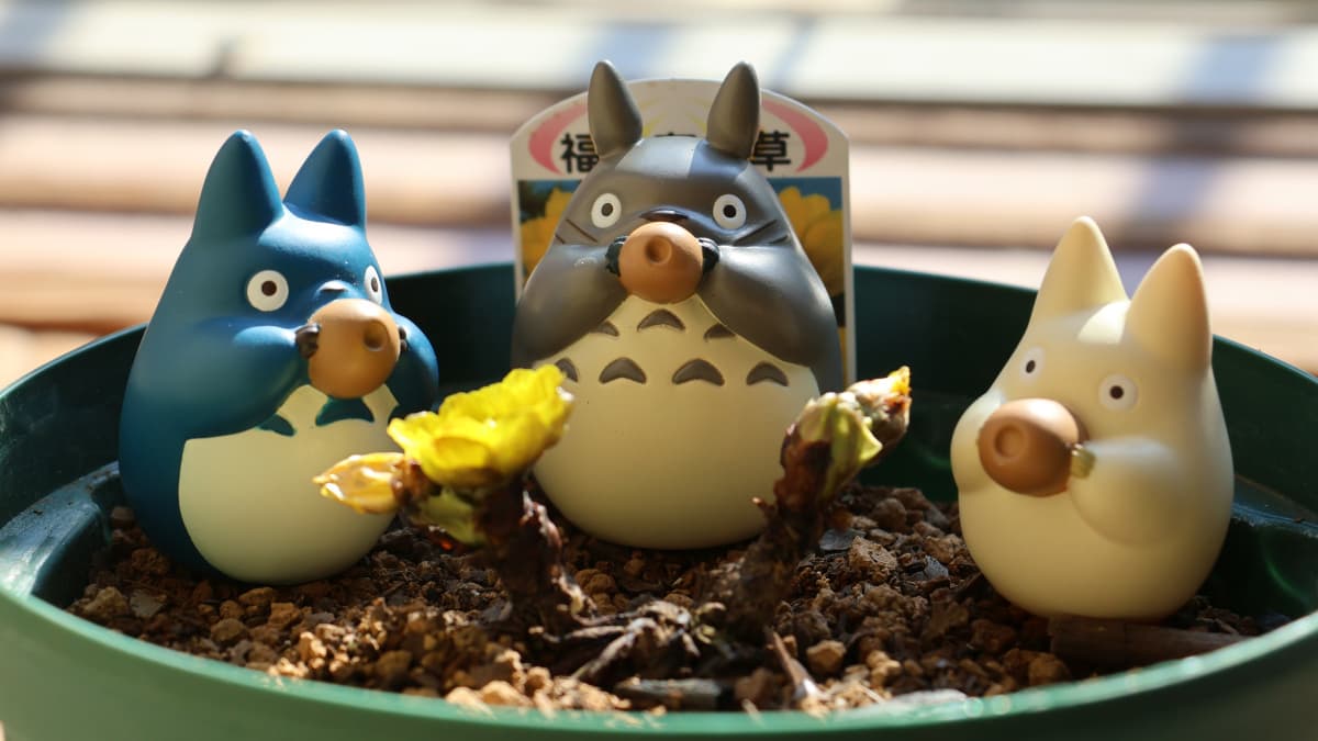 福寿草に乾杯トトロ20240131-3