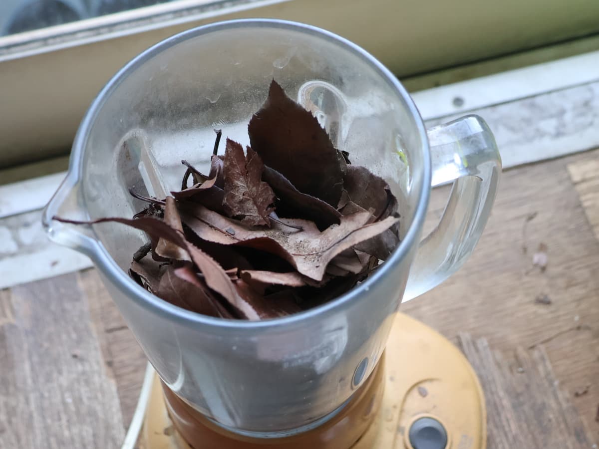 腐葉土作り（枯れ葉をミキサーで粉砕）20251211-1