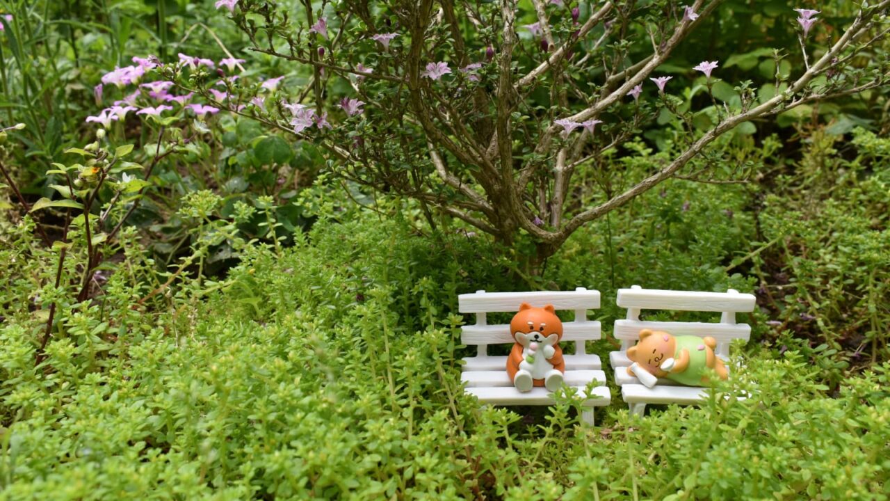 紅鳥花並んで花見のゴン太とノン平（前から撮影）202005-10