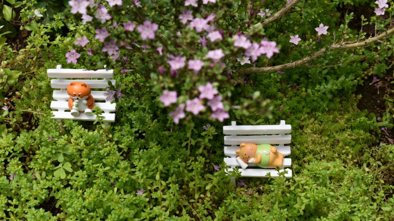 紅鳥花花見のゴン太とノン平（上から撮影）202005-4