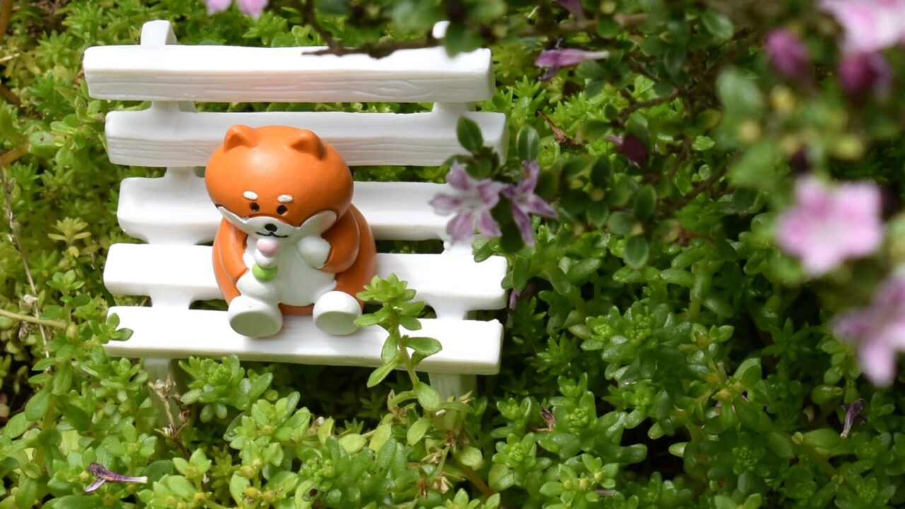 紅鳥花花見団子のゴン太202005-5
