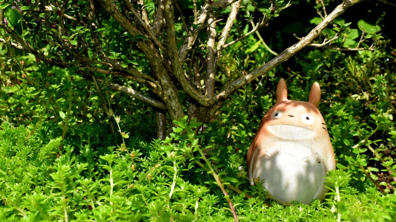 紅鳥花の下で避暑するトトロ202005-1