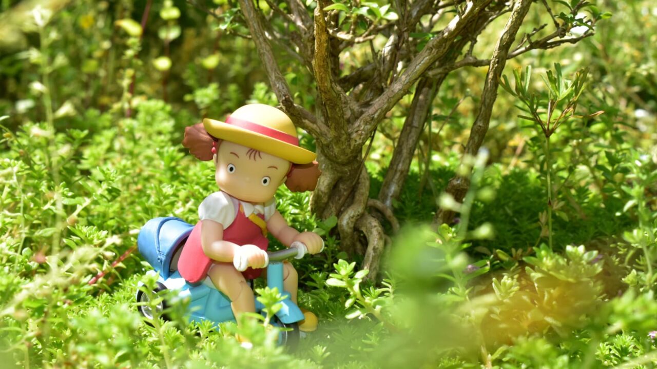 丸葉万年草の草原を走るメイ202005-3