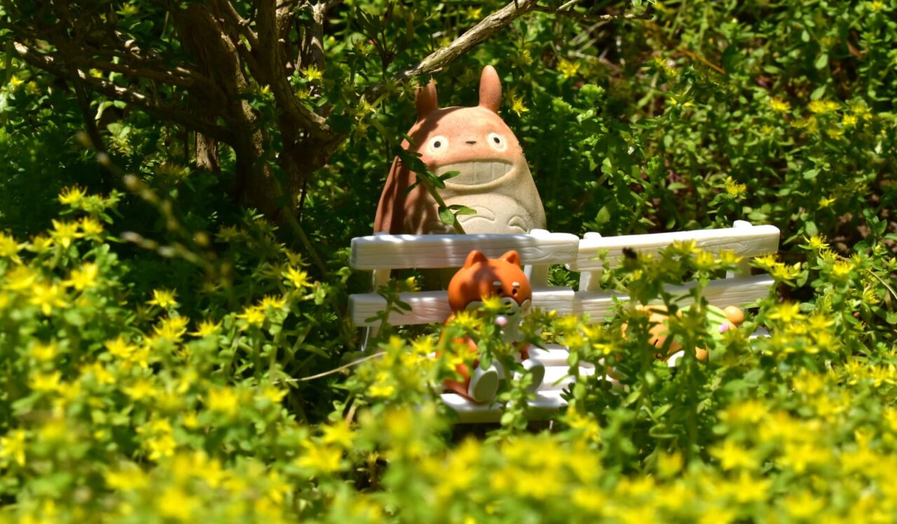 黄色の花畑（丸葉万年草）を愛でるゴン太とノン平（後ろにトトロ） 202005-3