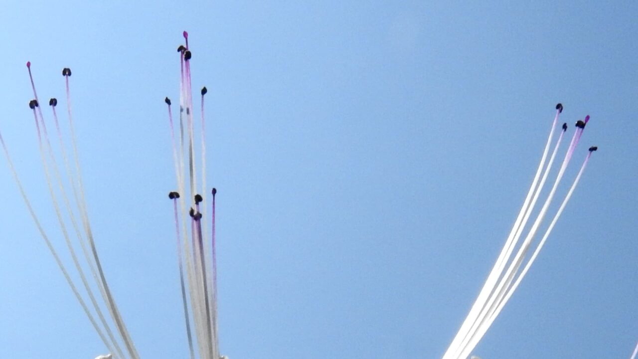 ネコノヒゲの髭近接撮影201709-04