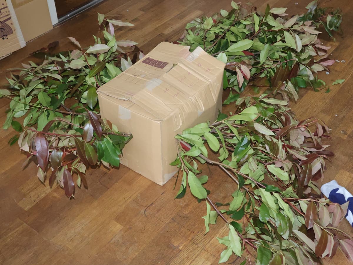 レッドロビンの切り枝で作った火の鳥2