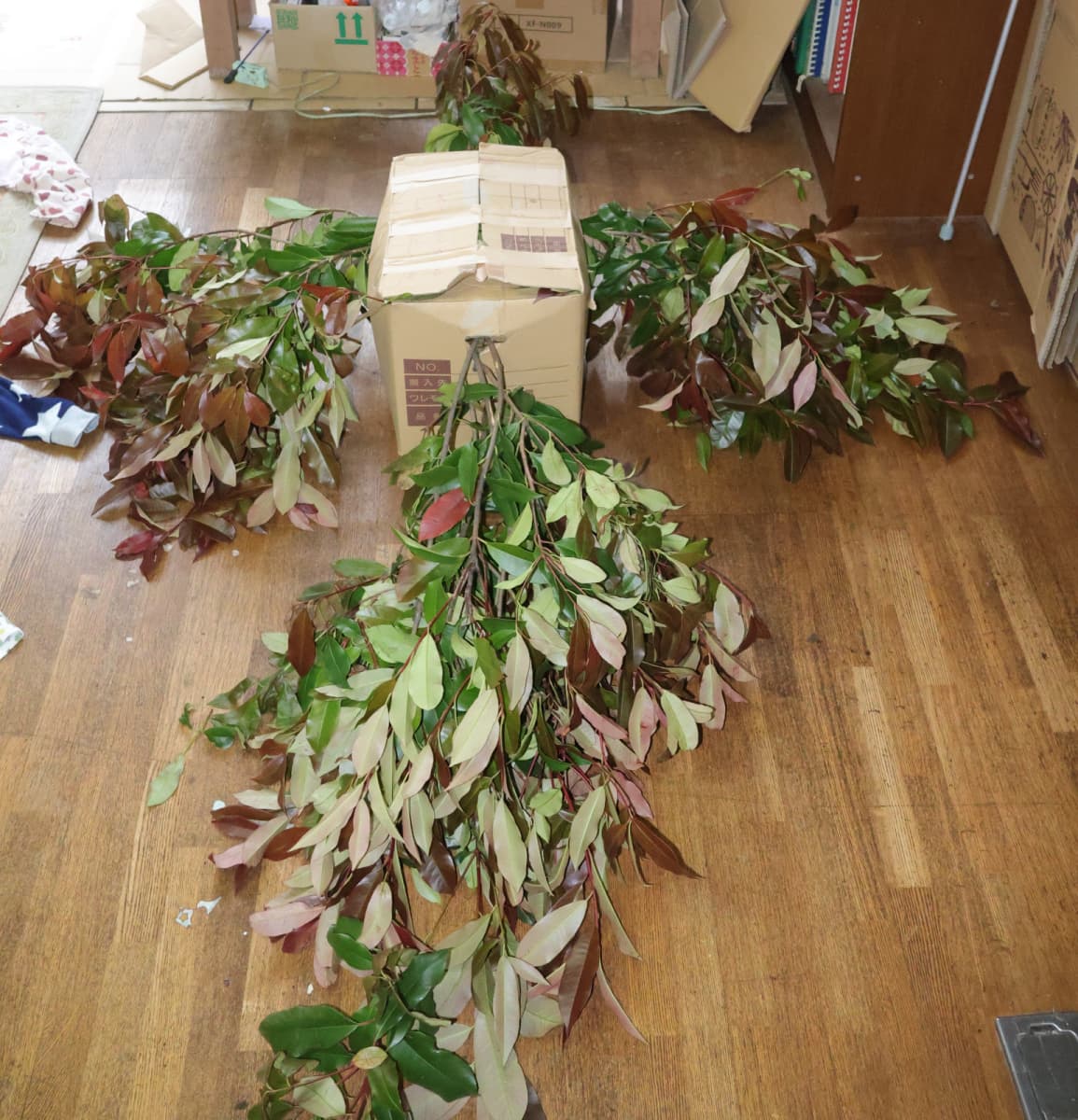 レッドロビンの切り枝で作った火の鳥3