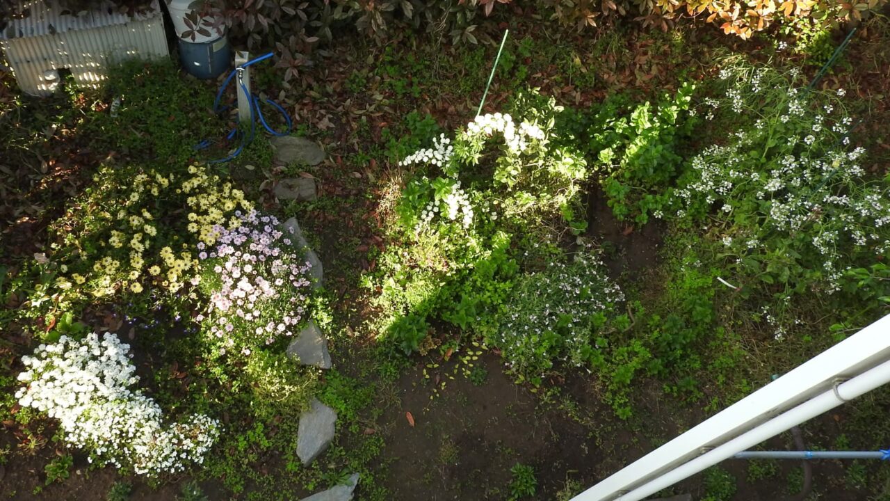 上から見た庭の概観201705