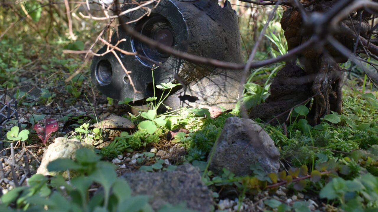 八房下野とロボ兵20201220-2