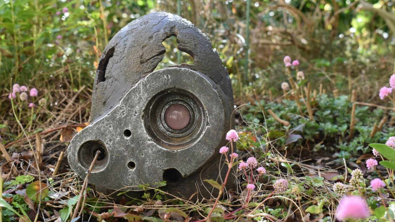 ヒメツルソバとロボ兵2020