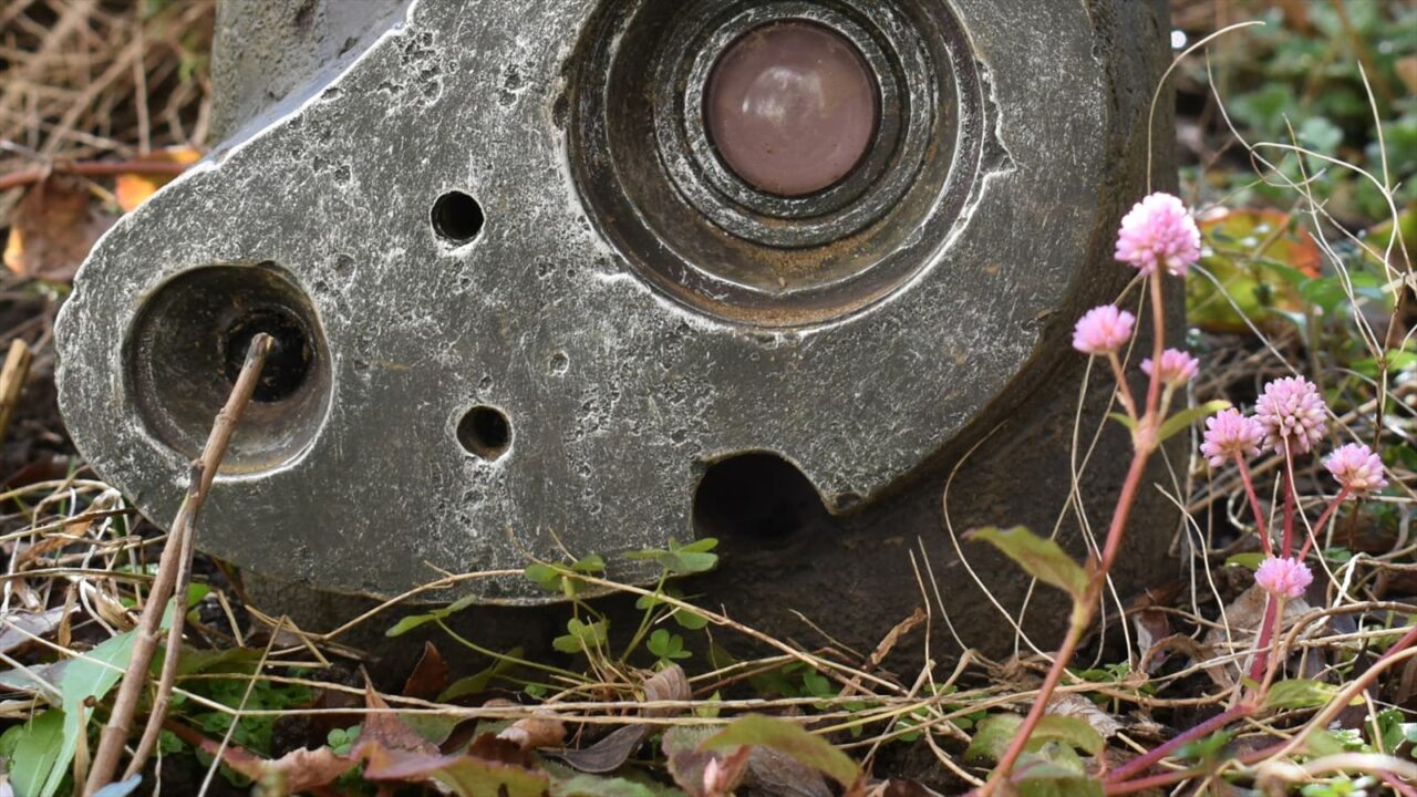 ヒメツルソバとロボ兵目2020近接撮影