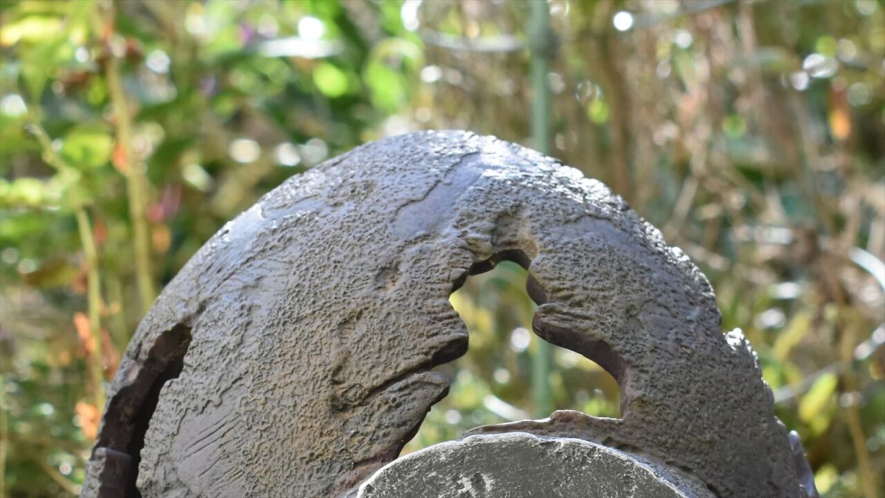 ヒメツルソバとロボ兵頭2020近接撮影