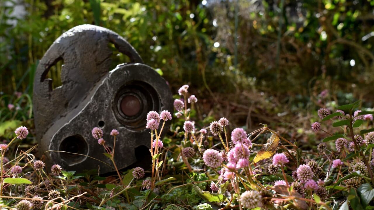 ヒメツルソバとロボ兵2020夜2