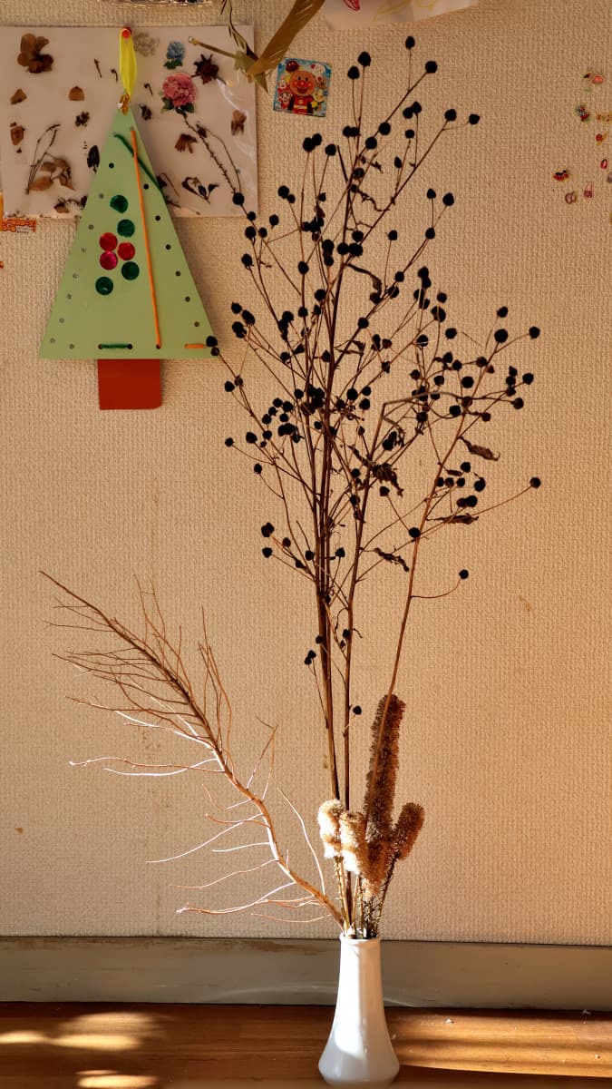 ルドベキアのドライフラワー202401-2