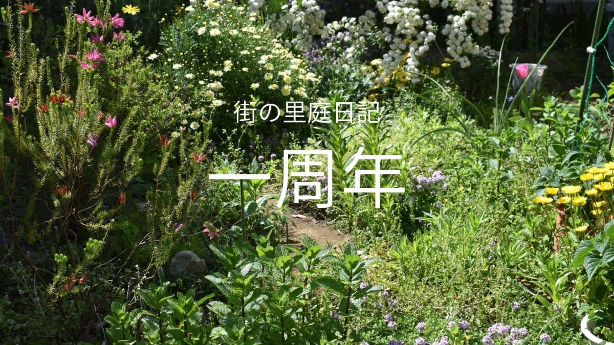 里庭日記一周年（キャッチ画像）