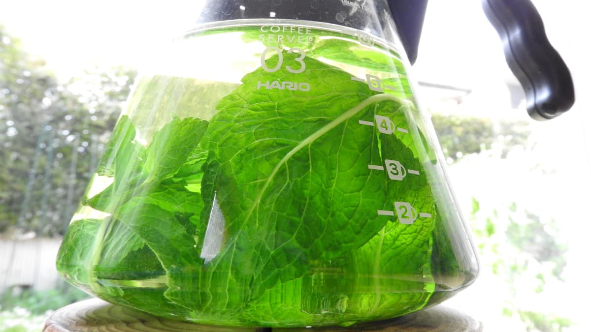 スペアミントティー20180430