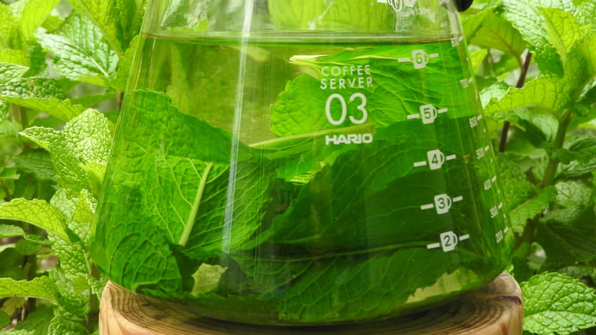 スペアミントティー20180430-2