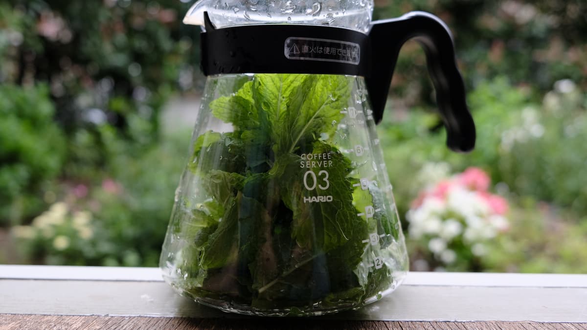 スペアミントティー20180621