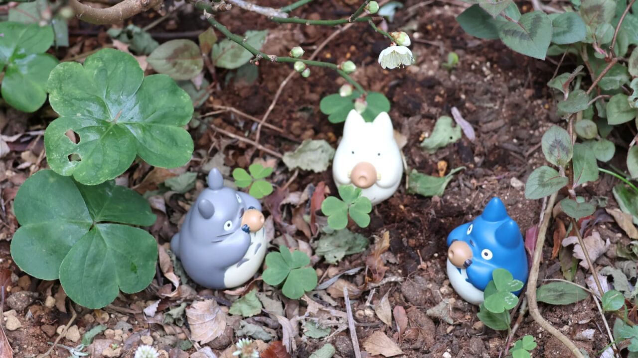 「探梅トトロ」梅見酒202401-5