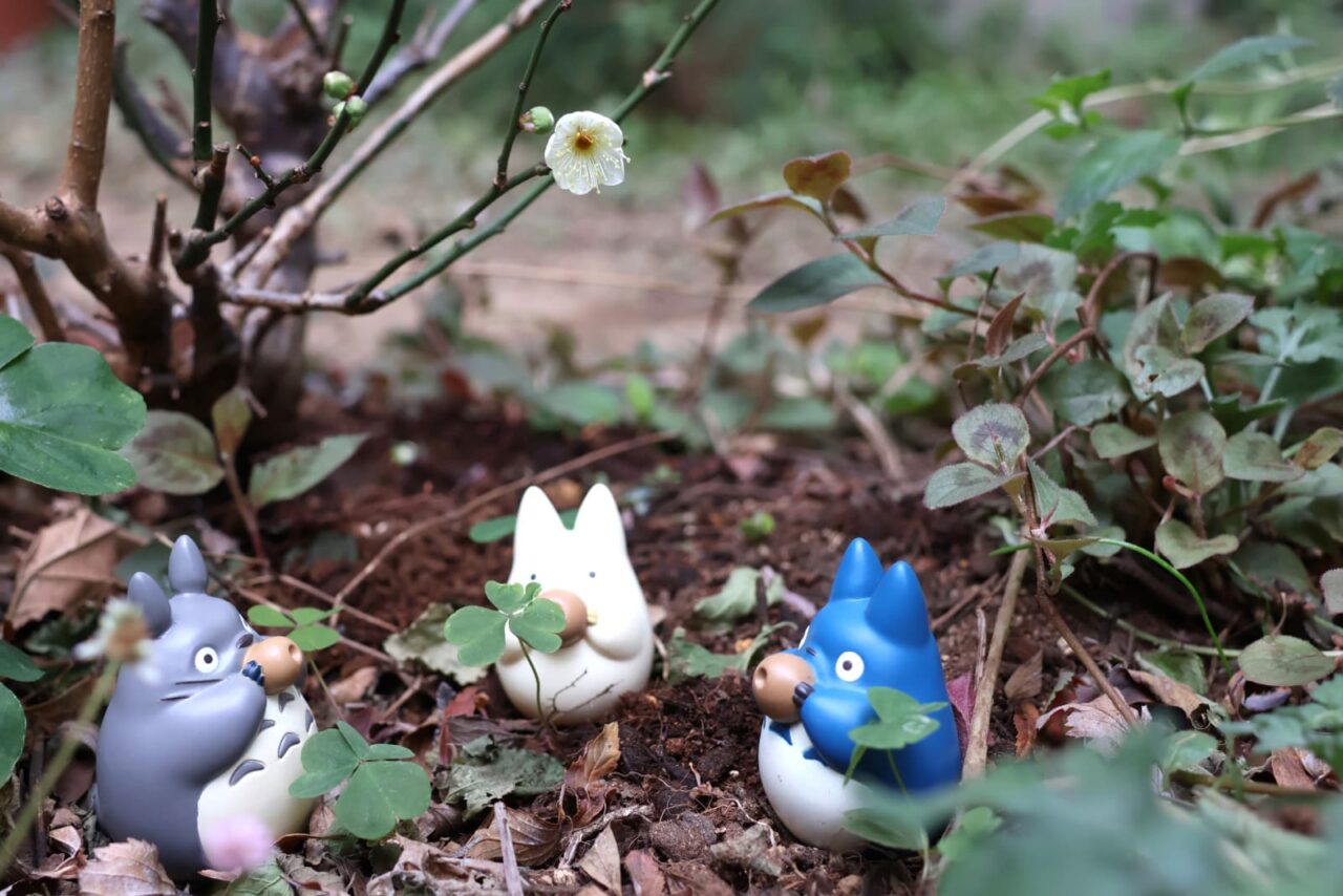 梅見酒のトトロの頭上に一輪の梅202401